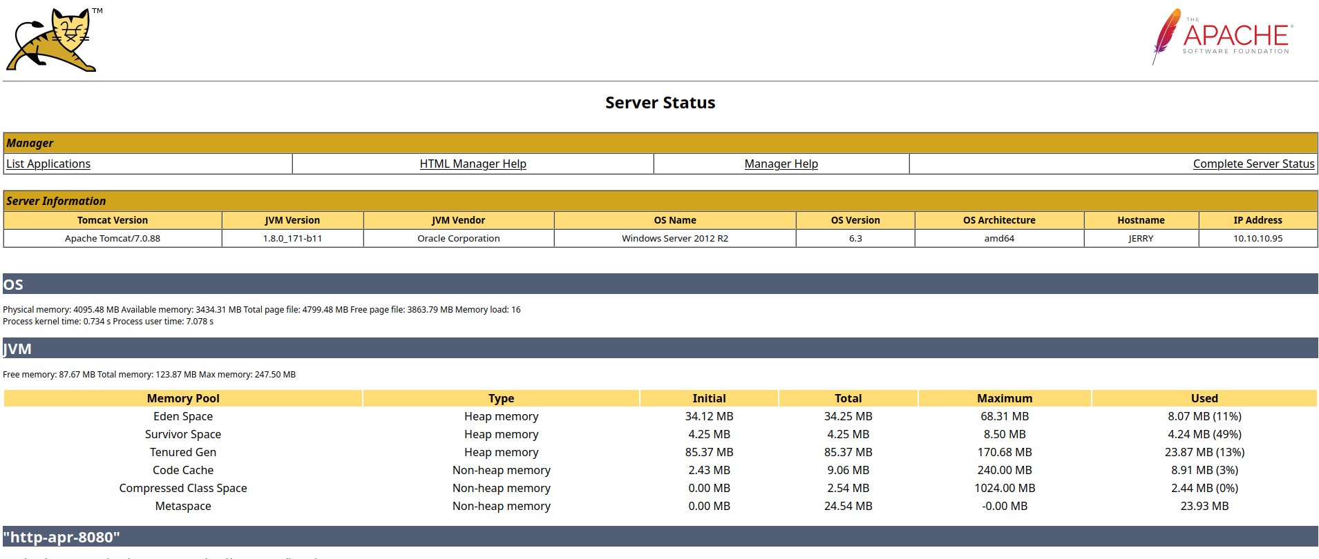 tomcat server status